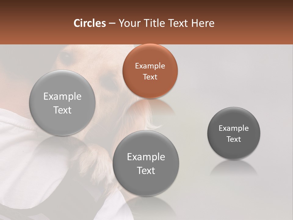 A Man Holding A Dog In His Arms PowerPoint Template