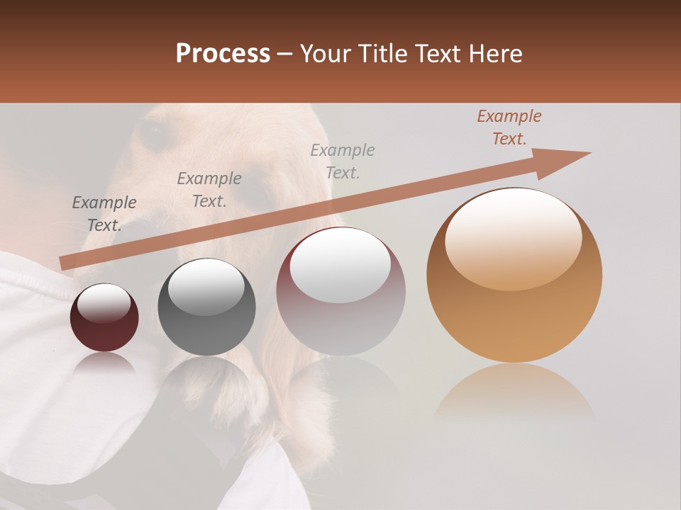 A Man Holding A Dog In His Arms PowerPoint Template