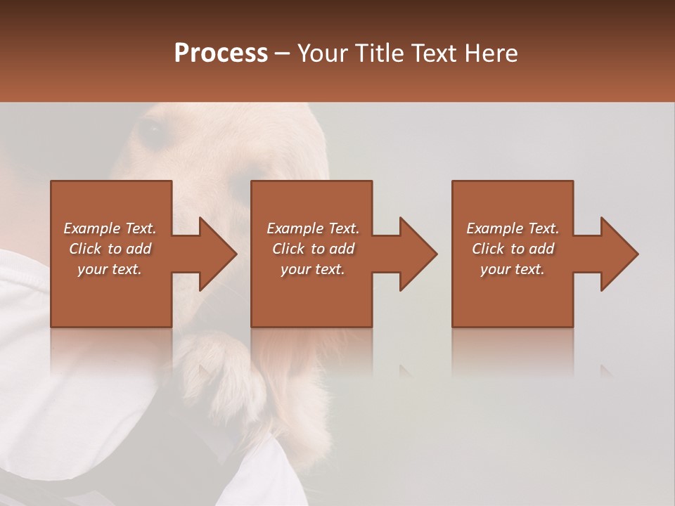 A Man Holding A Dog In His Arms PowerPoint Template