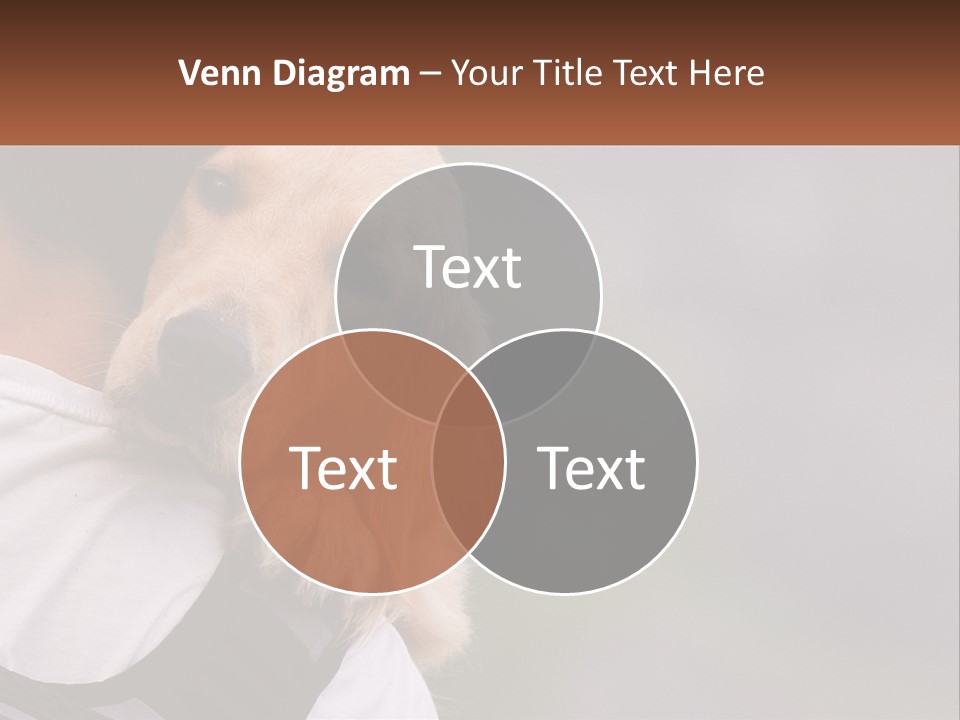 A Man Holding A Dog In His Arms PowerPoint Template