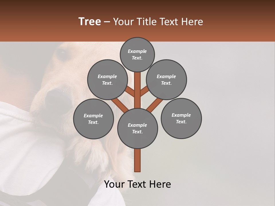 A Man Holding A Dog In His Arms PowerPoint Template