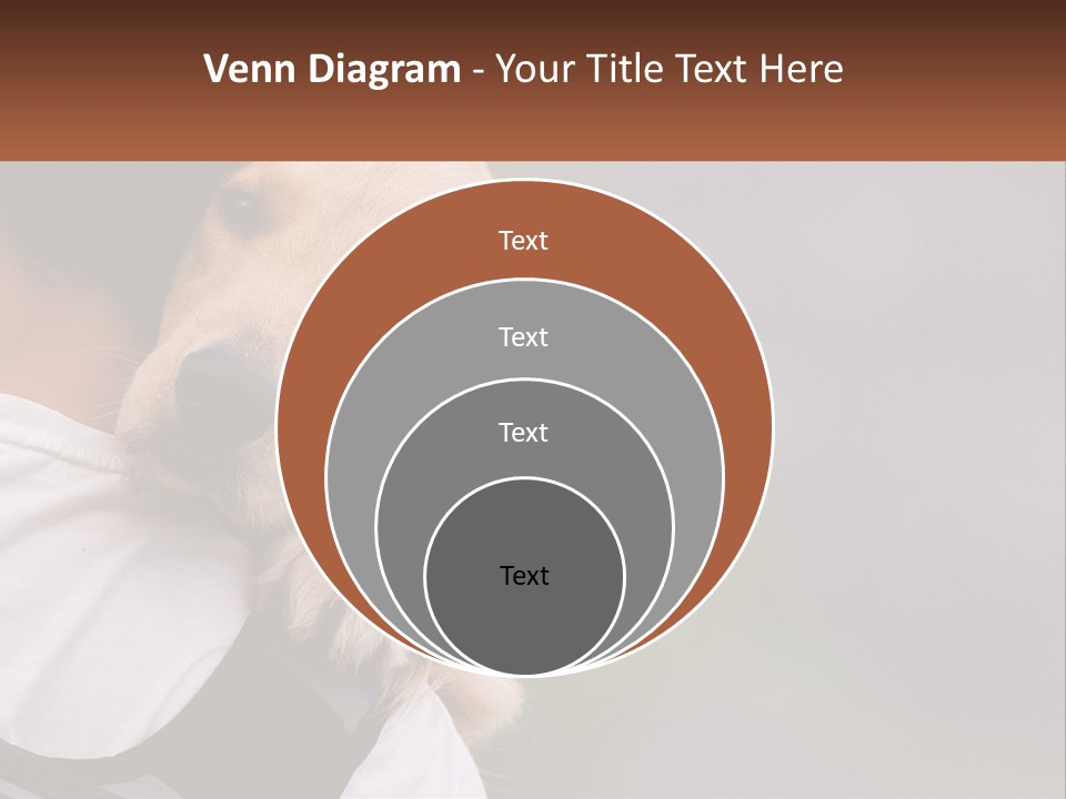 A Man Holding A Dog In His Arms PowerPoint Template