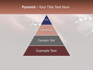 A Woman's Nails With A Design On It PowerPoint Template