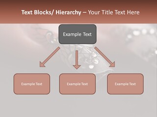 A Woman's Nails With A Design On It PowerPoint Template