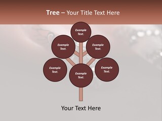 A Woman's Nails With A Design On It PowerPoint Template