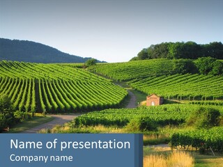 A Farm Field With A House In The Middle Of It PowerPoint Template