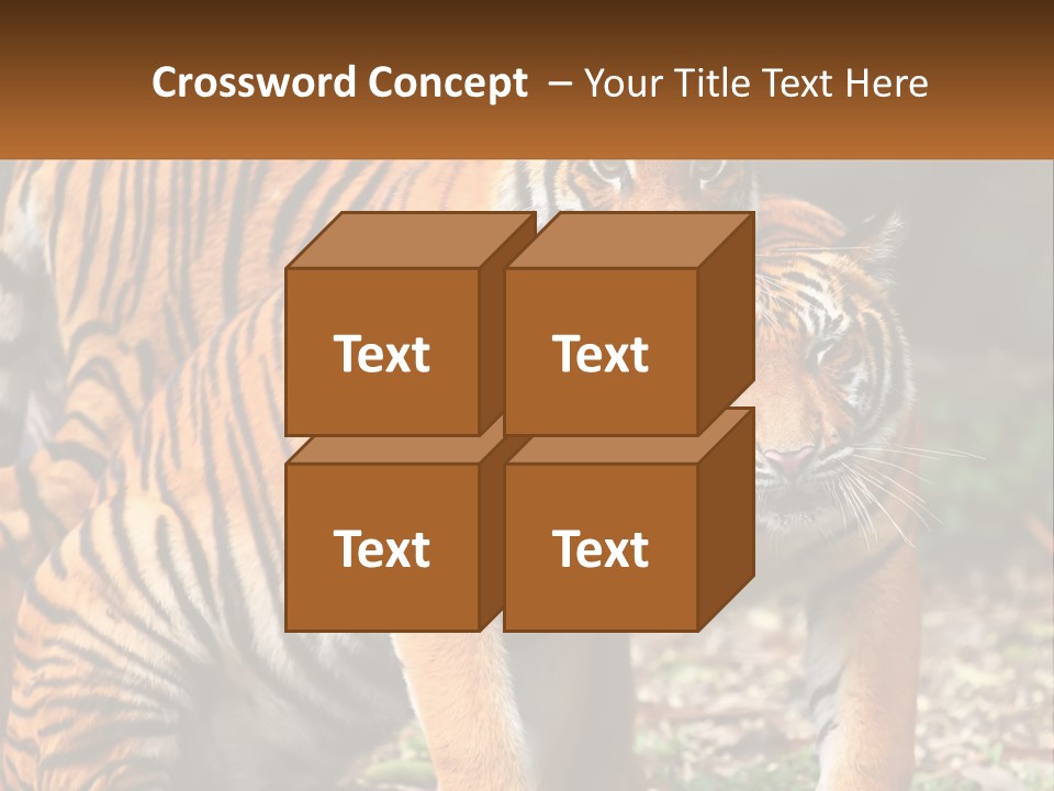 A Couple Of Tigers Standing Next To Each Other PowerPoint Template