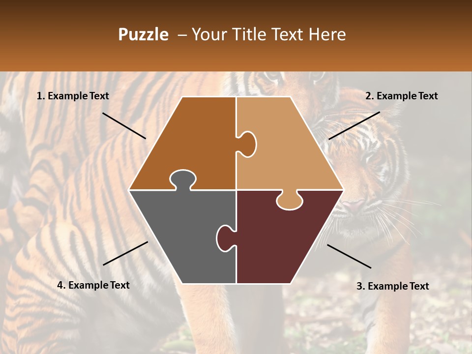 A Couple Of Tigers Standing Next To Each Other PowerPoint Template