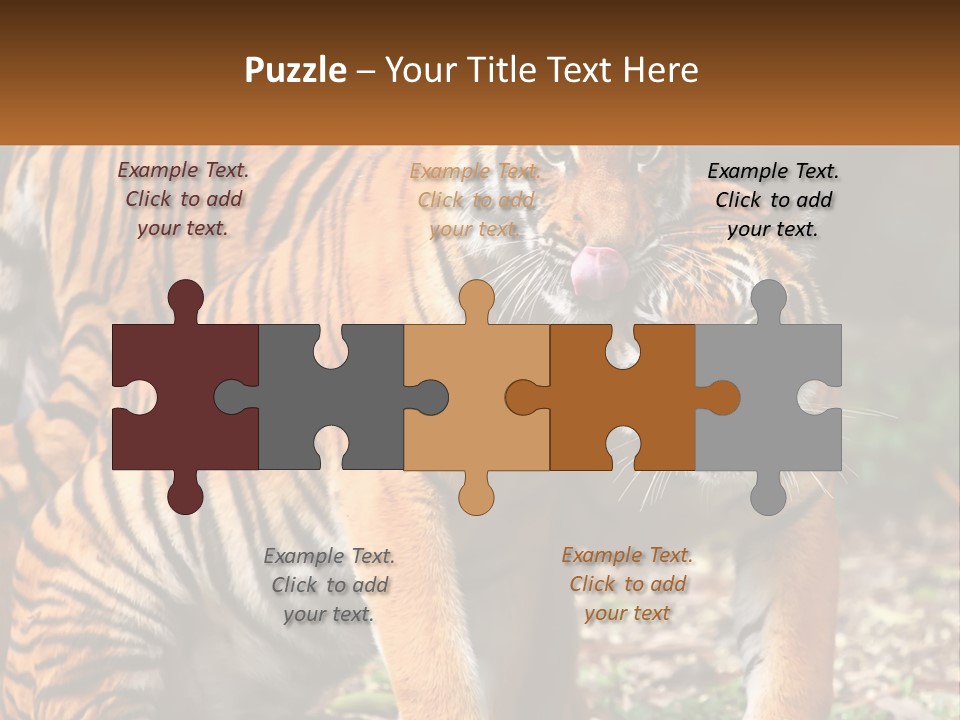 A Couple Of Tigers Standing Next To Each Other PowerPoint Template