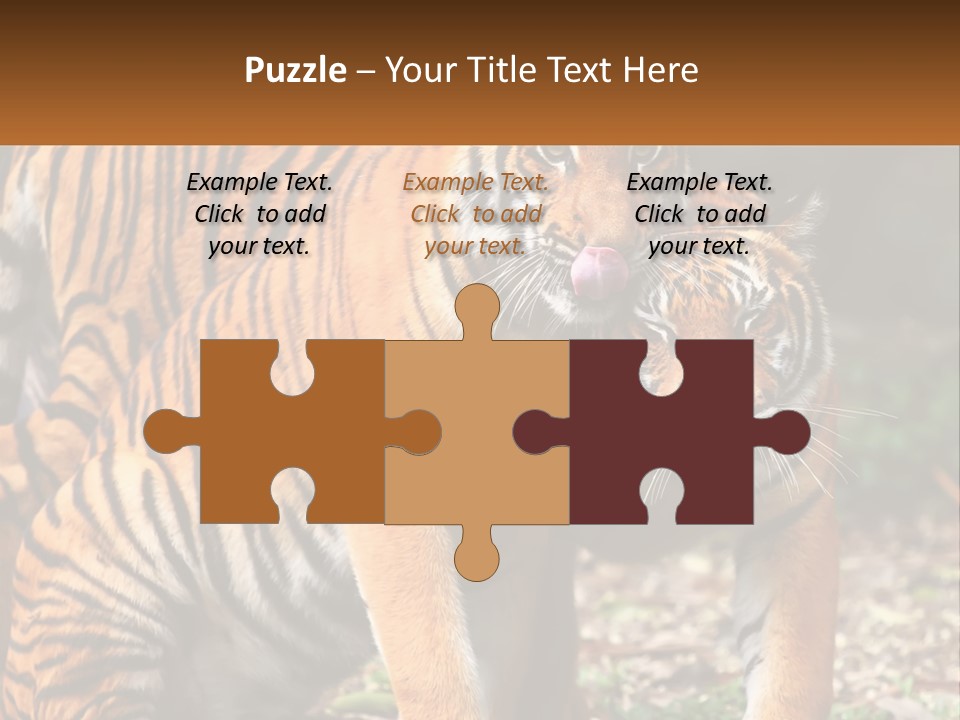 A Couple Of Tigers Standing Next To Each Other PowerPoint Template