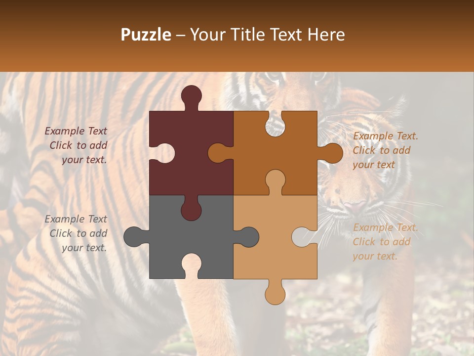 A Couple Of Tigers Standing Next To Each Other PowerPoint Template
