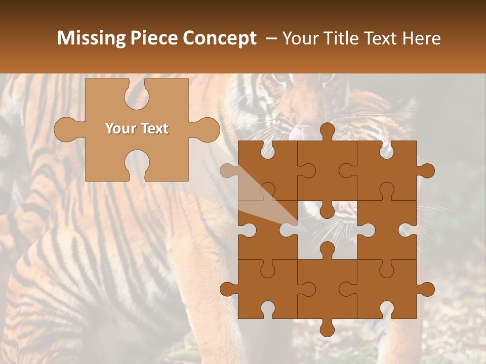 A Couple Of Tigers Standing Next To Each Other PowerPoint Template