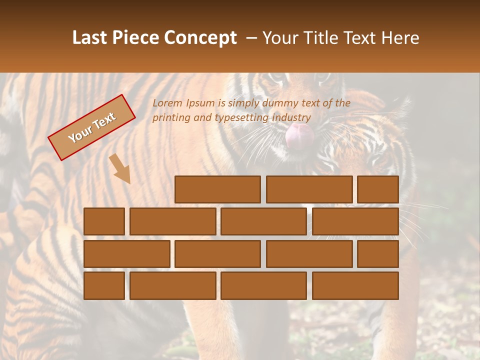 A Couple Of Tigers Standing Next To Each Other PowerPoint Template