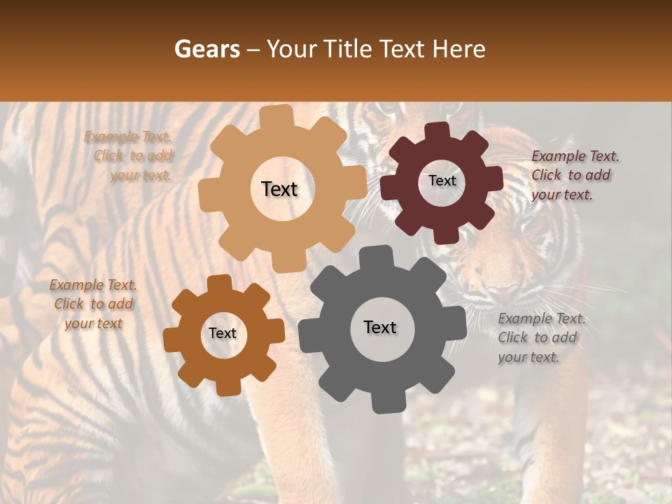 A Couple Of Tigers Standing Next To Each Other PowerPoint Template