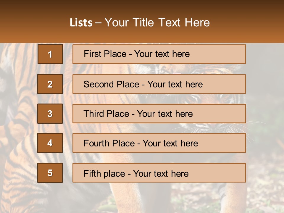 A Couple Of Tigers Standing Next To Each Other PowerPoint Template