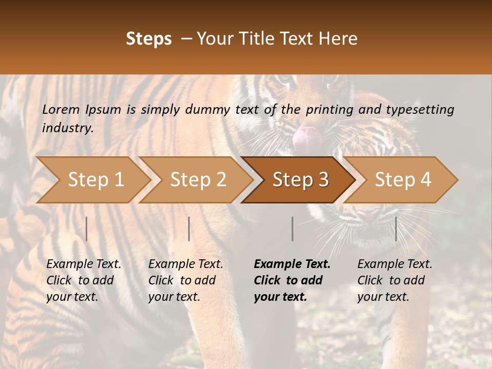 A Couple Of Tigers Standing Next To Each Other PowerPoint Template
