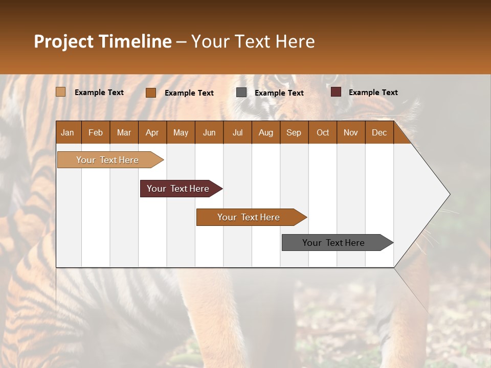 A Couple Of Tigers Standing Next To Each Other PowerPoint Template