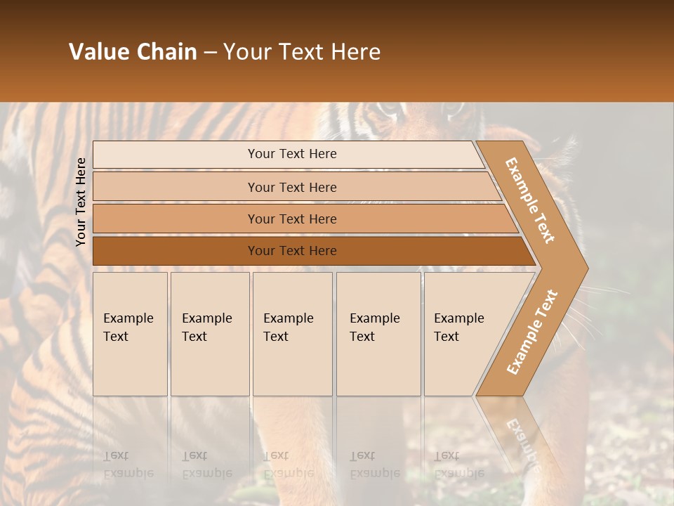 A Couple Of Tigers Standing Next To Each Other PowerPoint Template