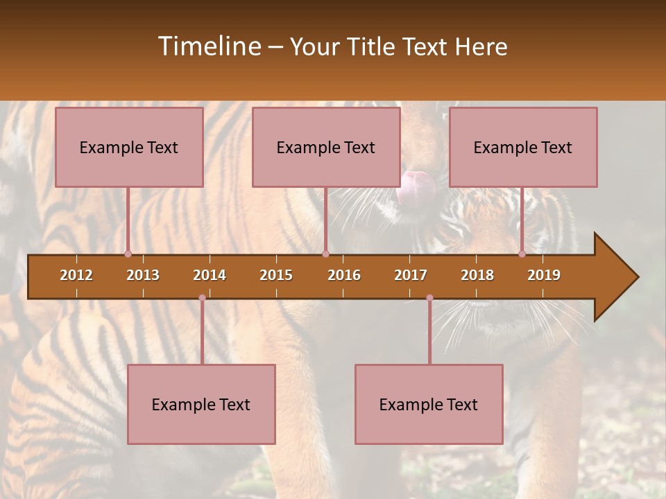 A Couple Of Tigers Standing Next To Each Other PowerPoint Template