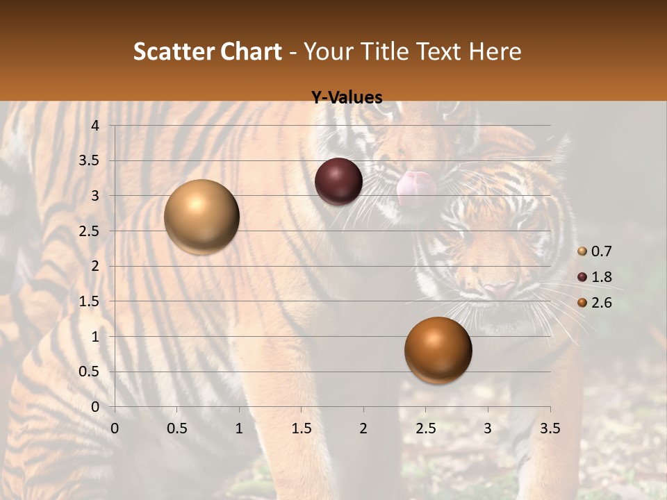 A Couple Of Tigers Standing Next To Each Other PowerPoint Template