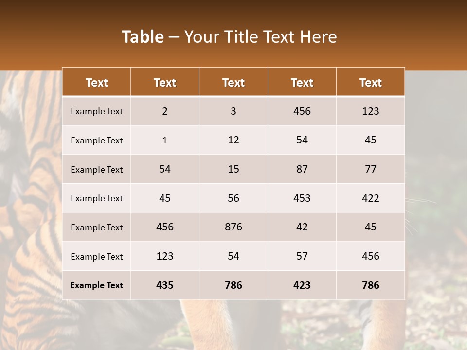A Couple Of Tigers Standing Next To Each Other PowerPoint Template