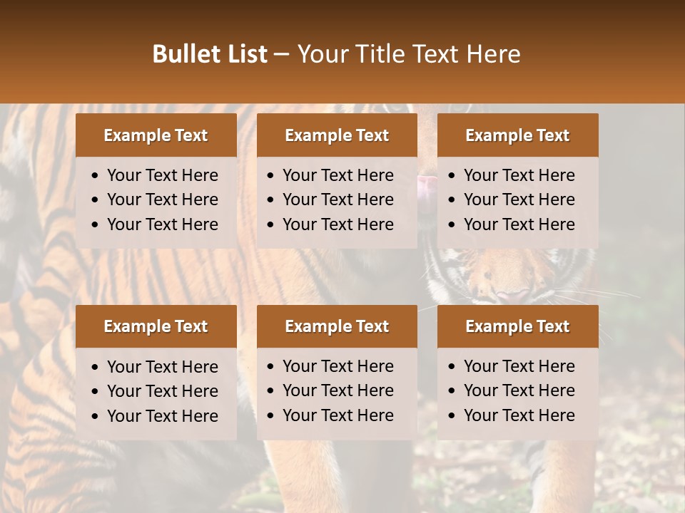 A Couple Of Tigers Standing Next To Each Other PowerPoint Template