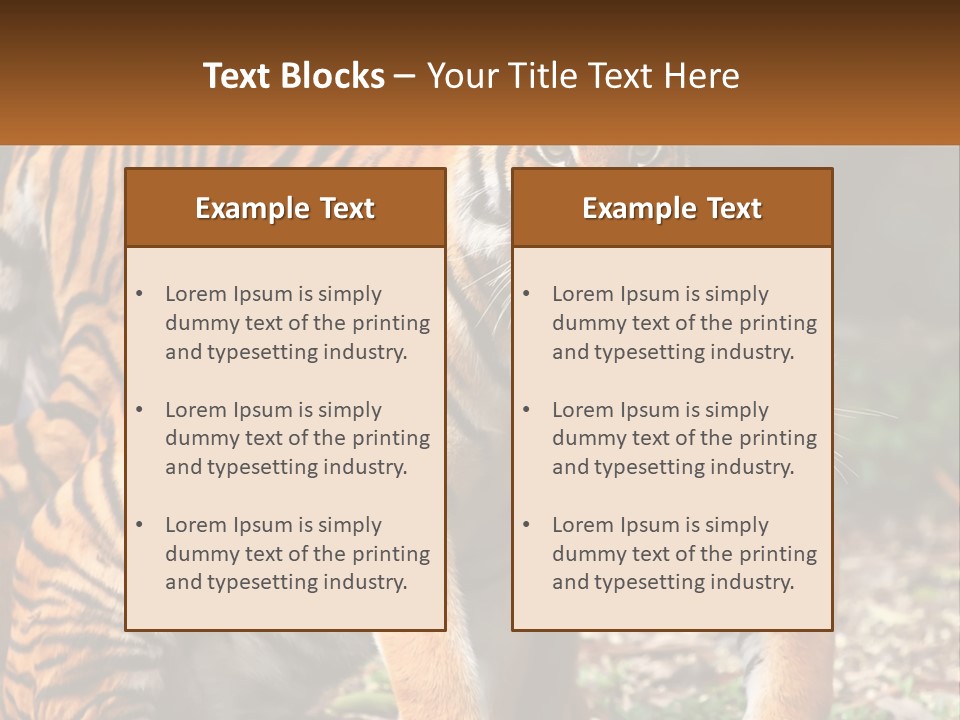 A Couple Of Tigers Standing Next To Each Other PowerPoint Template