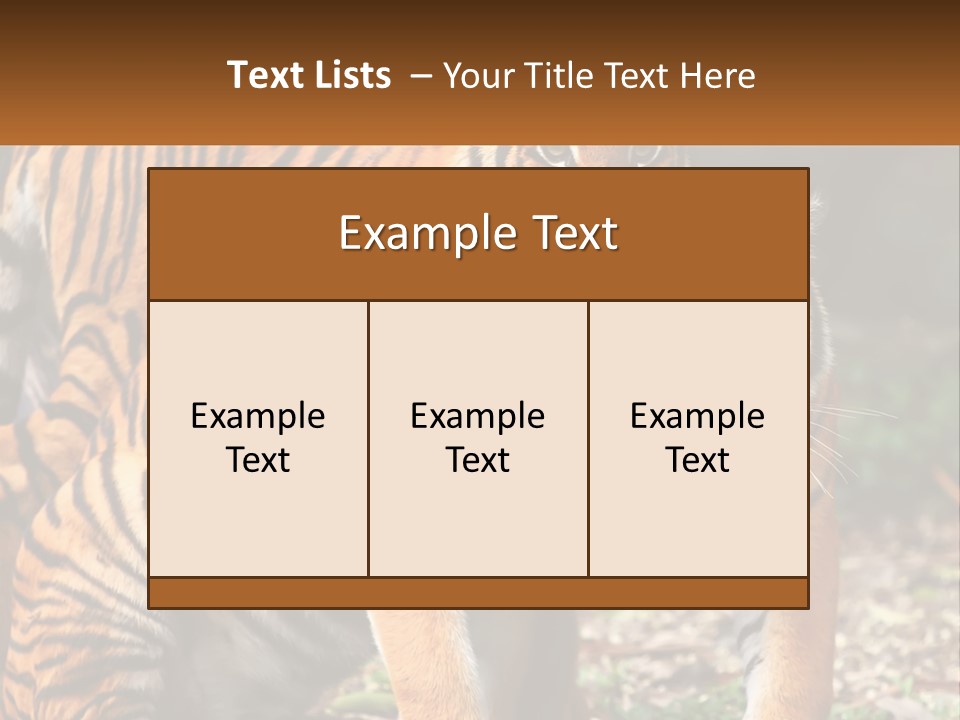 A Couple Of Tigers Standing Next To Each Other PowerPoint Template