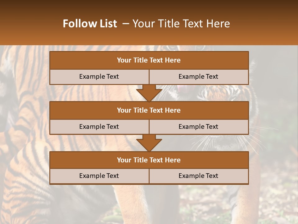 A Couple Of Tigers Standing Next To Each Other PowerPoint Template