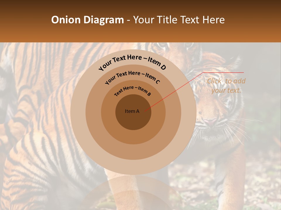 A Couple Of Tigers Standing Next To Each Other PowerPoint Template