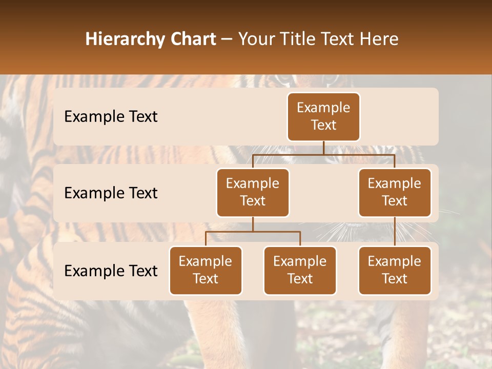 A Couple Of Tigers Standing Next To Each Other PowerPoint Template