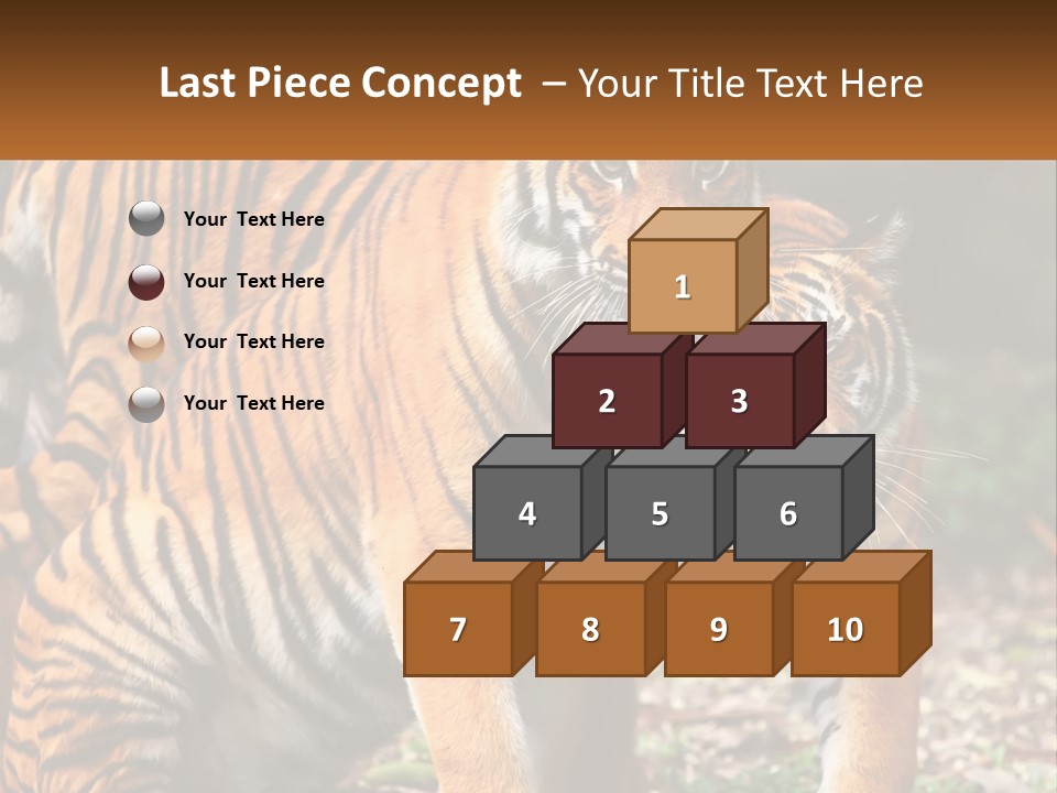 A Couple Of Tigers Standing Next To Each Other PowerPoint Template