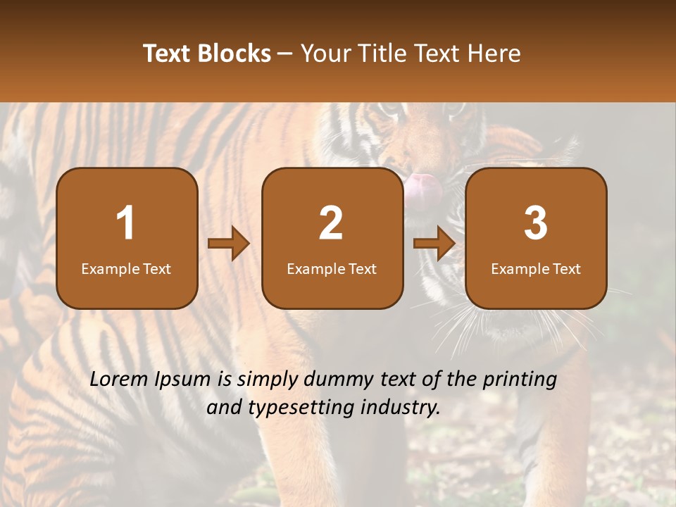 A Couple Of Tigers Standing Next To Each Other PowerPoint Template