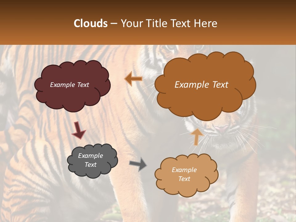 A Couple Of Tigers Standing Next To Each Other PowerPoint Template