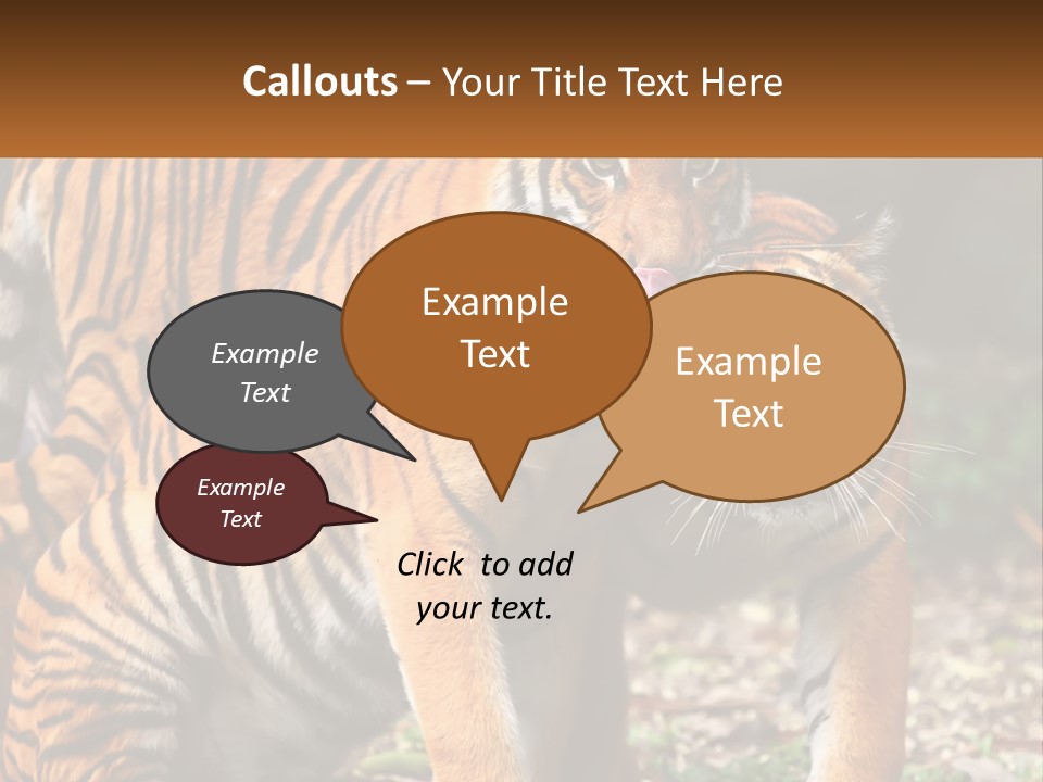 A Couple Of Tigers Standing Next To Each Other PowerPoint Template