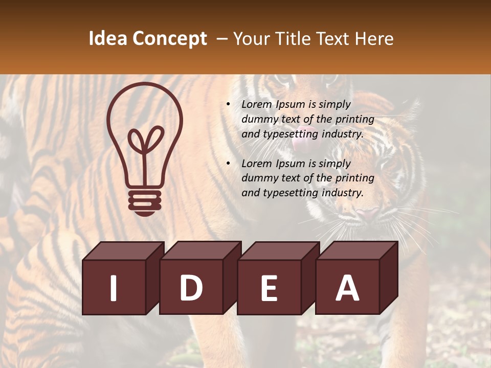 A Couple Of Tigers Standing Next To Each Other PowerPoint Template