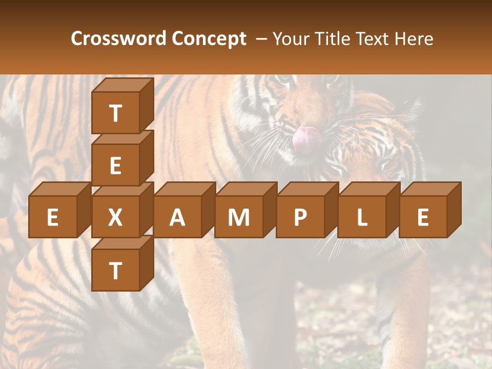 A Couple Of Tigers Standing Next To Each Other PowerPoint Template
