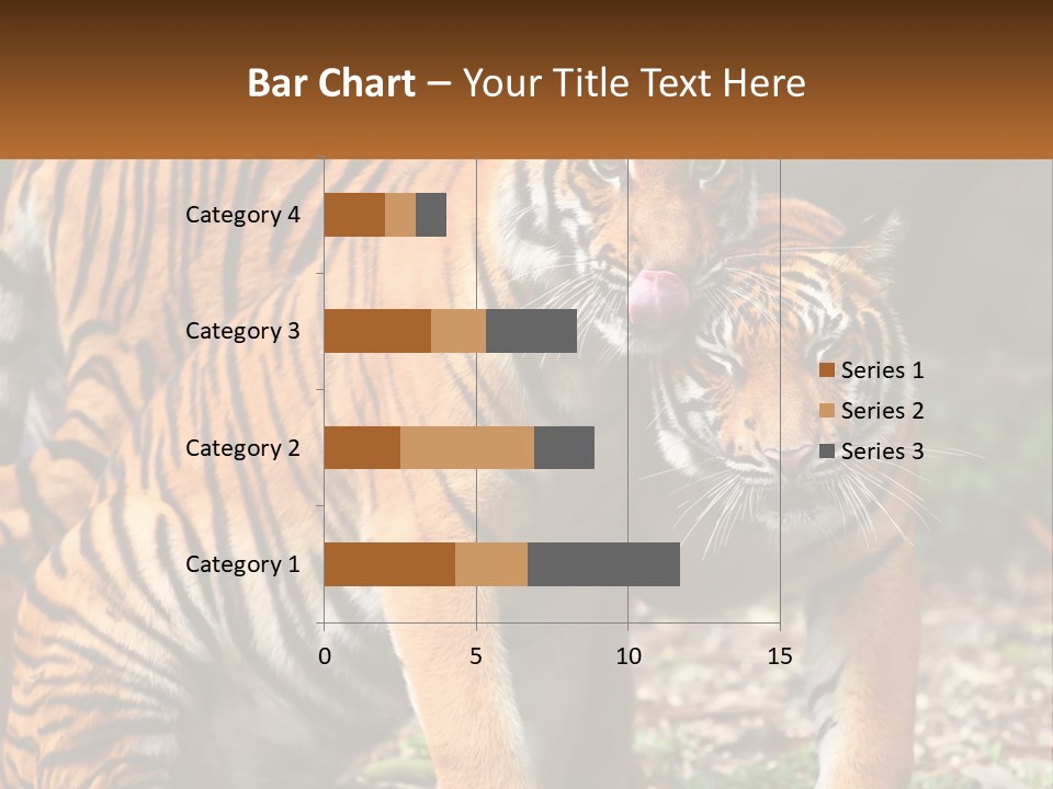 A Couple Of Tigers Standing Next To Each Other PowerPoint Template