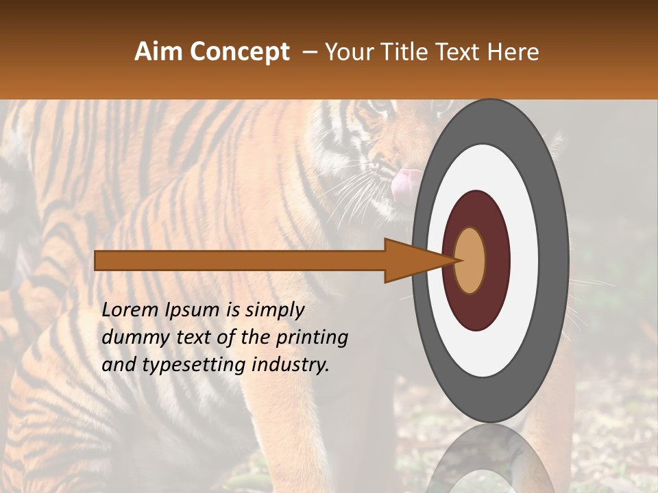 A Couple Of Tigers Standing Next To Each Other PowerPoint Template