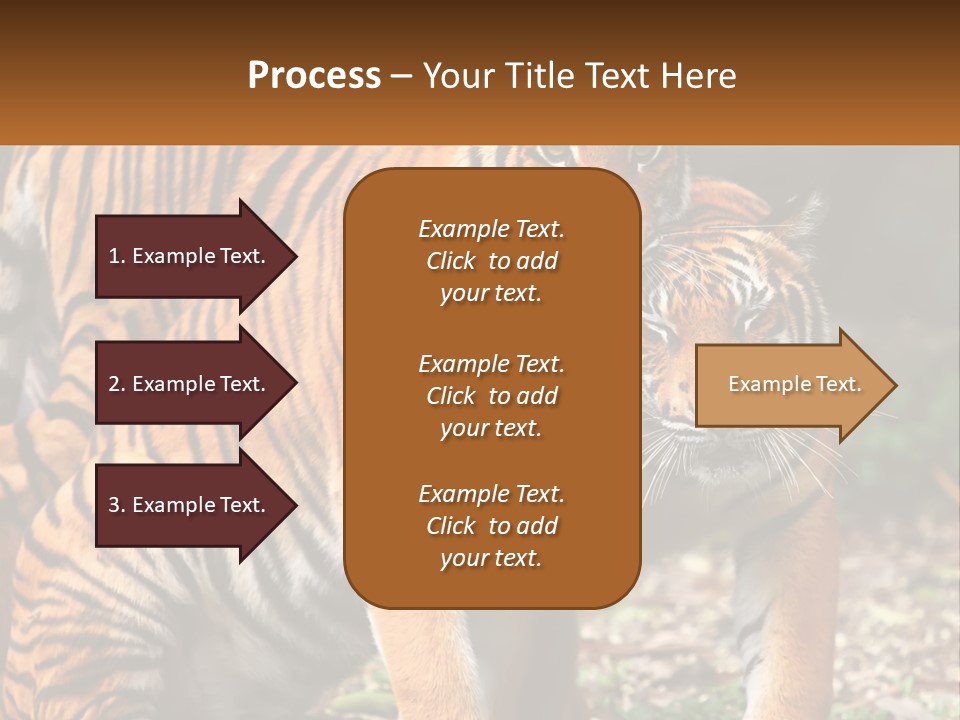 A Couple Of Tigers Standing Next To Each Other PowerPoint Template