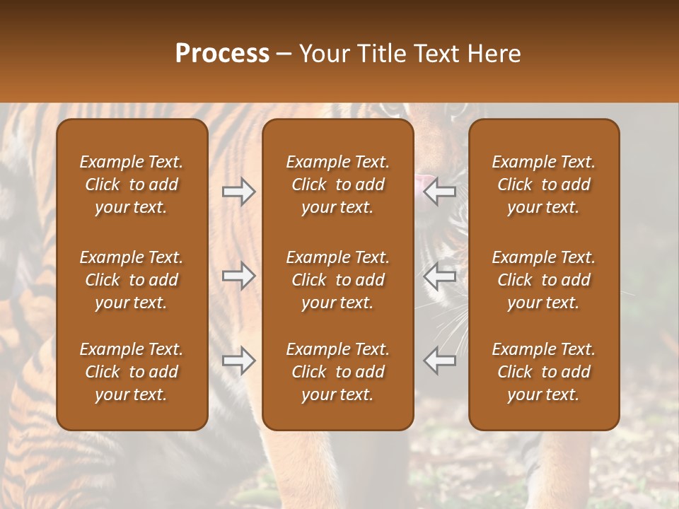 A Couple Of Tigers Standing Next To Each Other PowerPoint Template