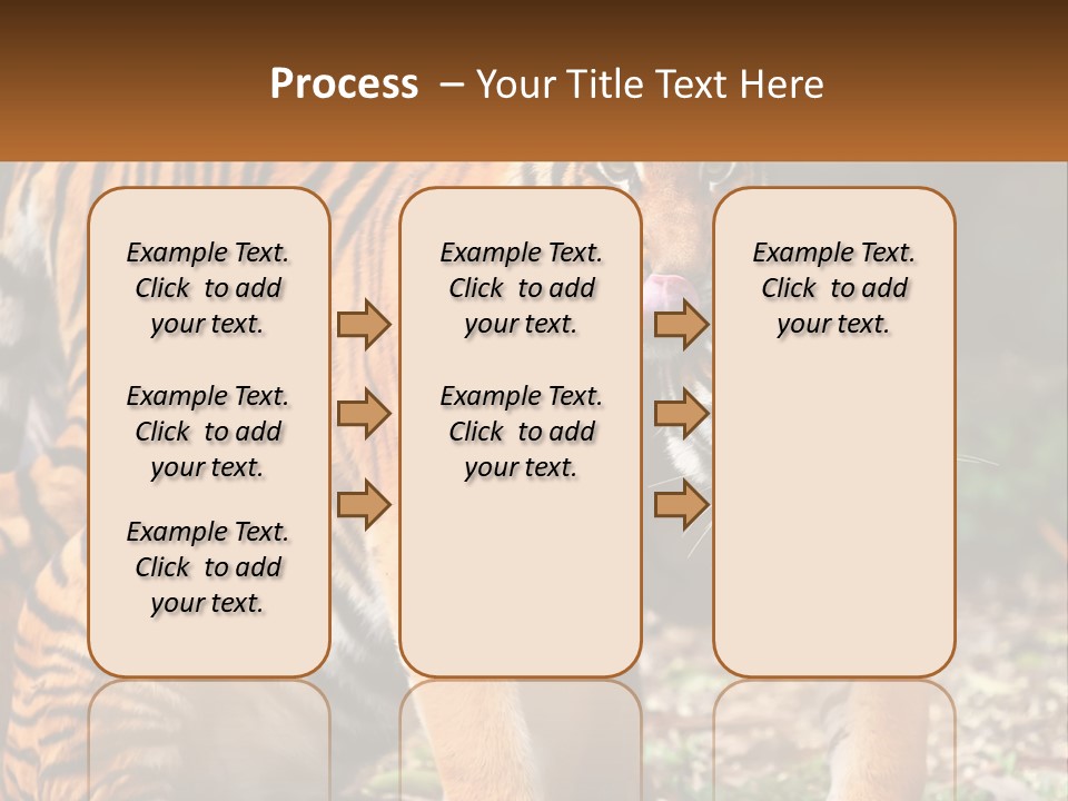 A Couple Of Tigers Standing Next To Each Other PowerPoint Template