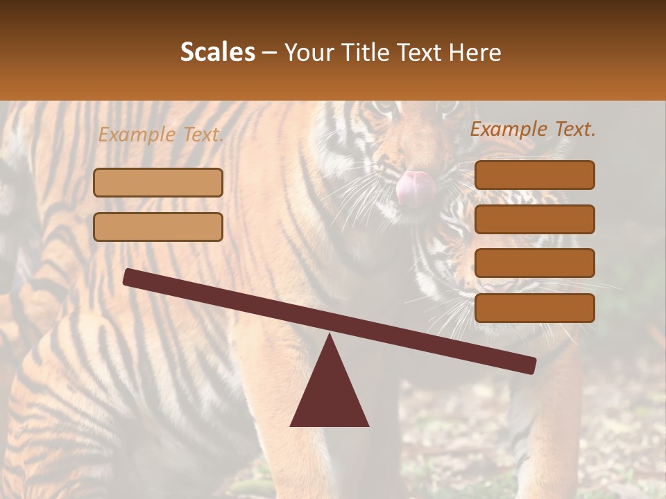 A Couple Of Tigers Standing Next To Each Other PowerPoint Template