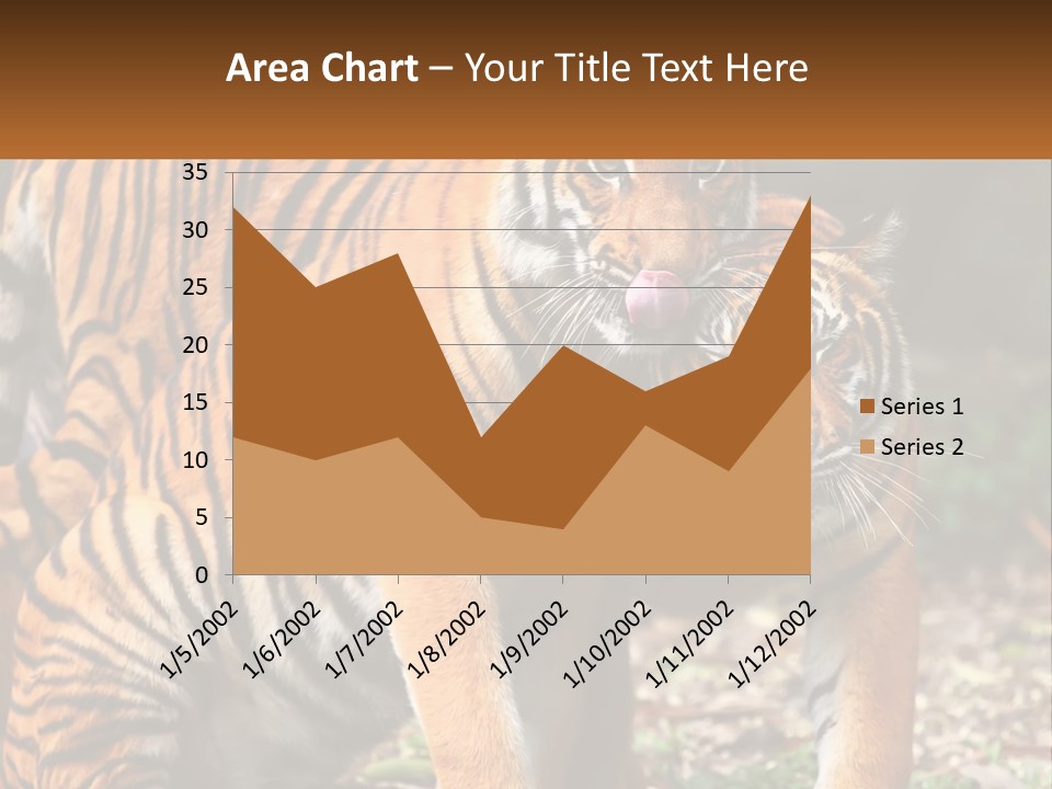 A Couple Of Tigers Standing Next To Each Other PowerPoint Template