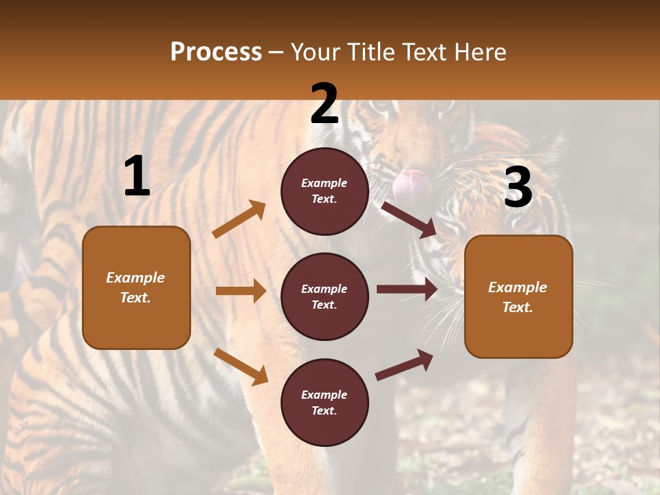 A Couple Of Tigers Standing Next To Each Other PowerPoint Template