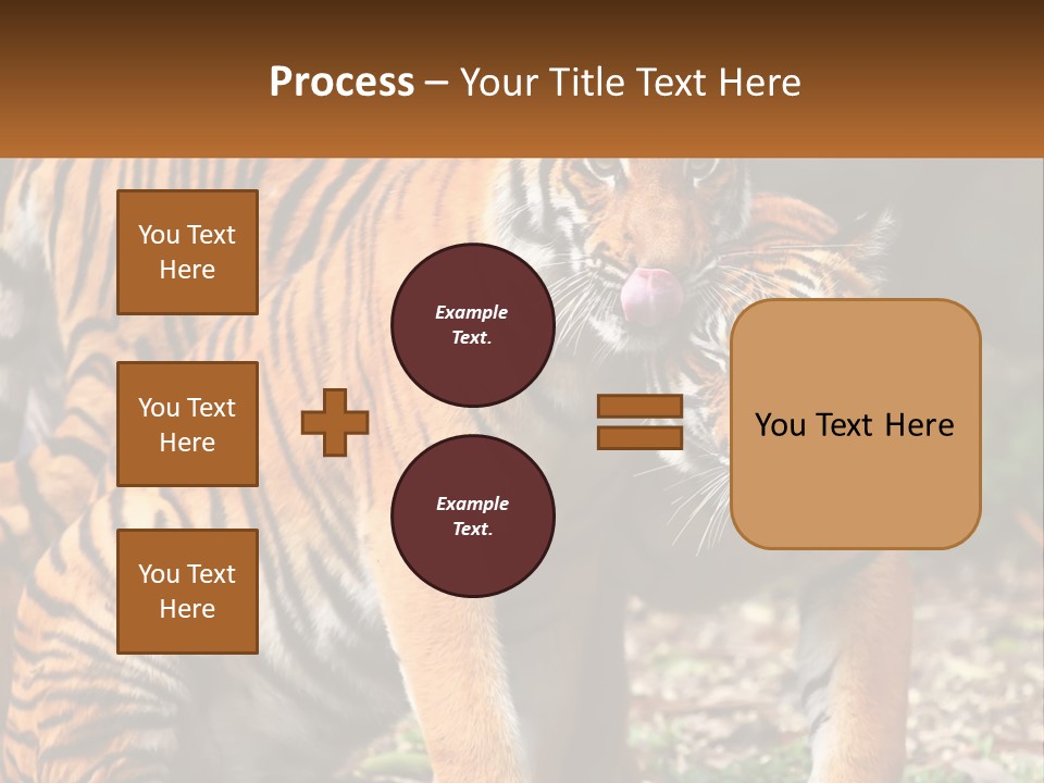 A Couple Of Tigers Standing Next To Each Other PowerPoint Template