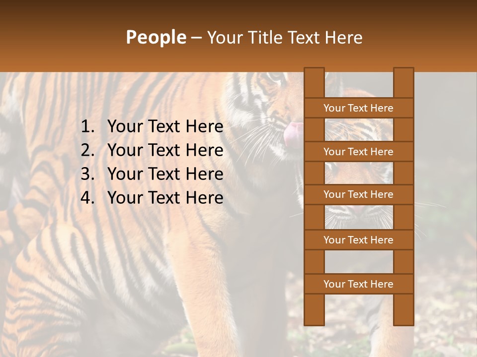 A Couple Of Tigers Standing Next To Each Other PowerPoint Template