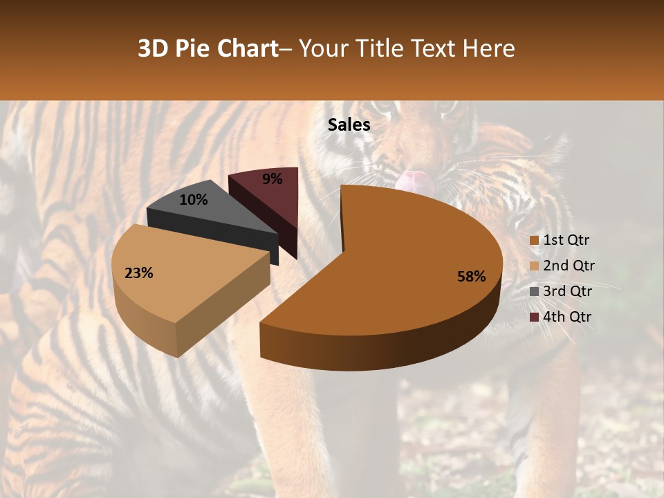 A Couple Of Tigers Standing Next To Each Other PowerPoint Template