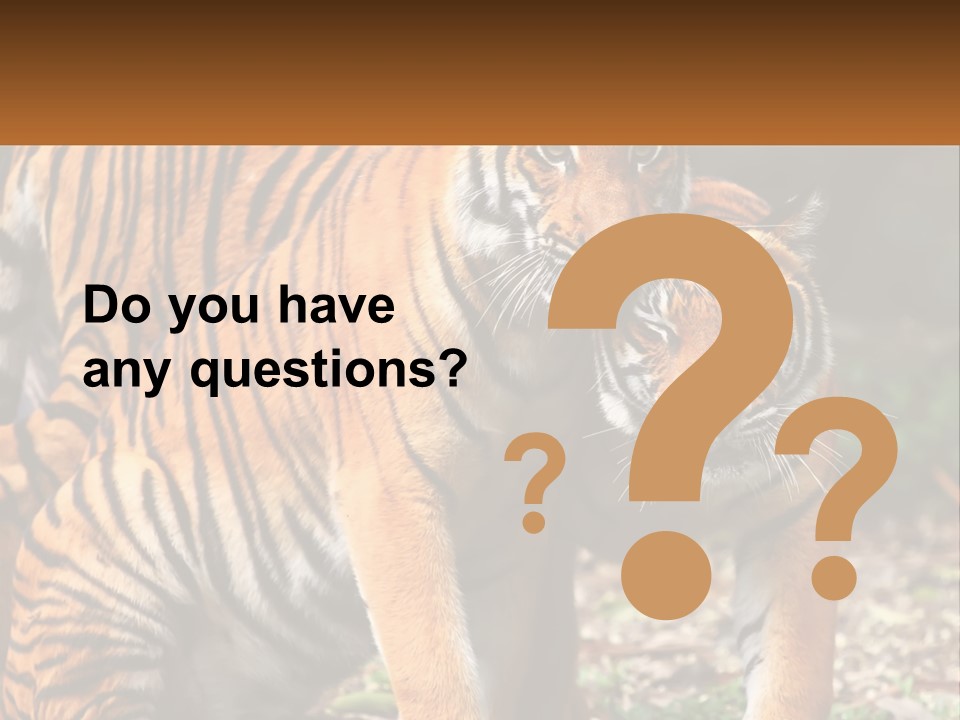 A Couple Of Tigers Standing Next To Each Other PowerPoint Template