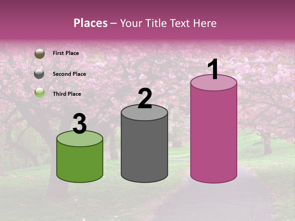 A Path With Pink Flowers On It And A Green Field In The Background PowerPoint Template